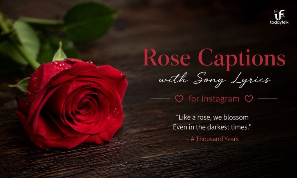 Rose Captions with Song Lyrics for Instagram